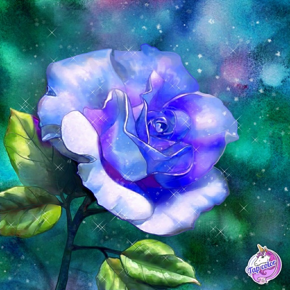 Meet your Posher, Hazel - Picture 1 of 1